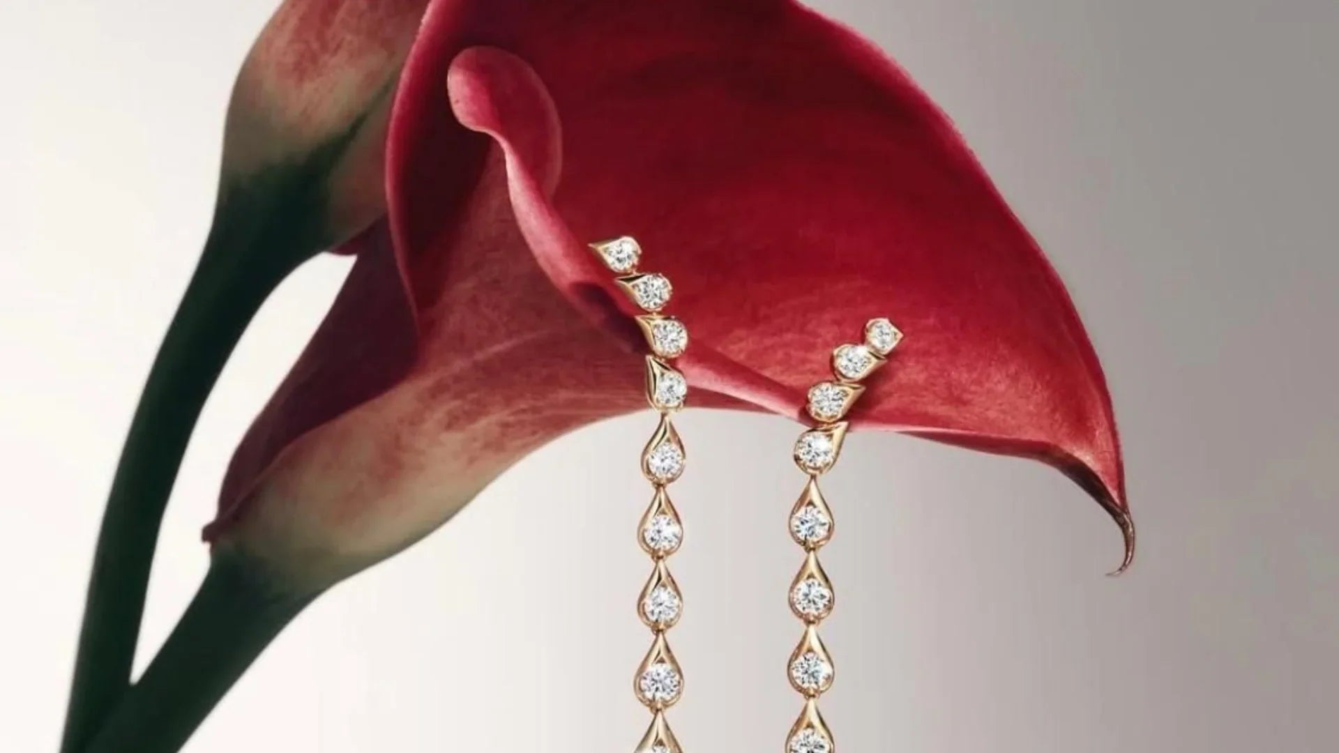 The Story of Valentine’s Day: From History to Jewelry Traditions