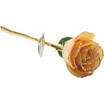 24K Gold-Plated Lacquered Solid Color Rose