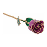 Lacquered Amethyst Colored Rose with Gold Trim