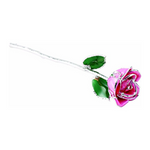 Lacquered Pink Rose with Platinum Trim