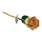 Lacquered Cream Orange Rose with Gold Trim