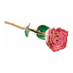 Lacquered Cream Magenta Rose with Gold Trim