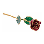 Lacquered Garnet Colored Rose with Gold Trim