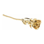 Lacquered 24K Gold-Plated Rose