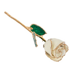 Lacquered White Rose with Gold Trim