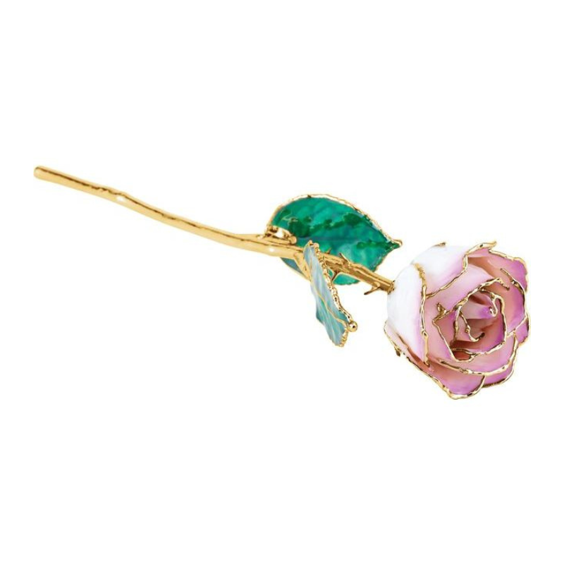 Lacquered Cream Picasso Rose with Gold Trim