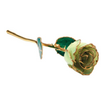 Lacquered Sage Rose with Gold Trim