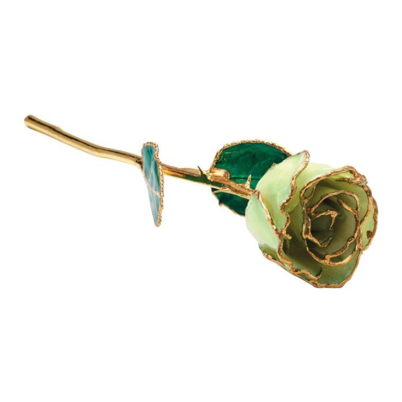 Lacquered Sage Rose with Gold Trim