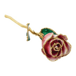 Lacquered Frozen White & Red Rose with Gold Trim