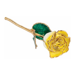 Lacquered Cream Yellow Rose with Gold Trim
