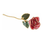 Lacquered Pink Rose with Gold Trim