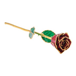 Lacquered Ruby Colored Sparkle Rose with Gold Trim