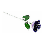 Lacquered Purple Rose with Platinum Trim