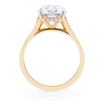Concave Shank Hidden Halo Engagement Ring