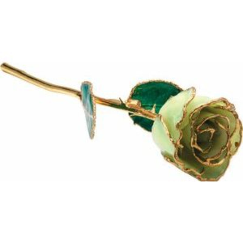 Lacquered Sage Rose with Gold Trim