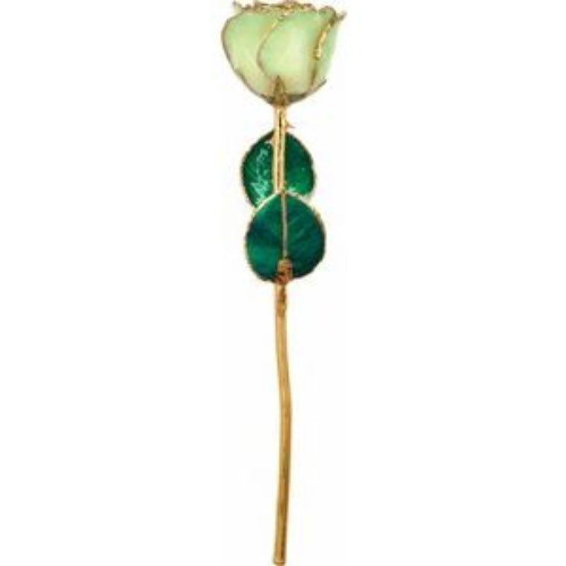 Lacquered Sage Rose with Gold Trim