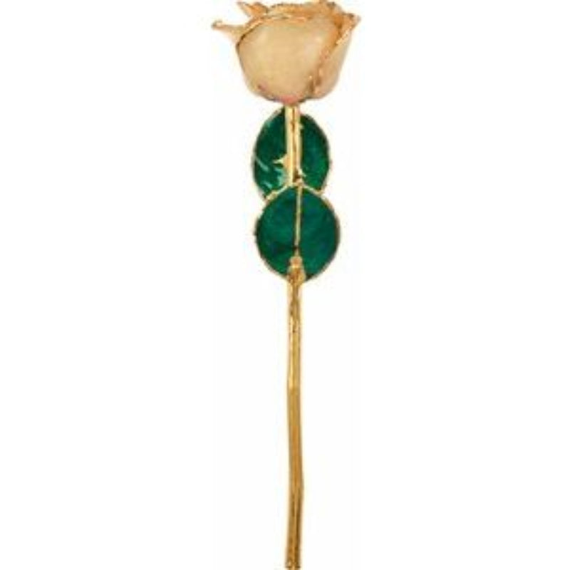24K Gold-Plated Lacquered Solid Color Rose
