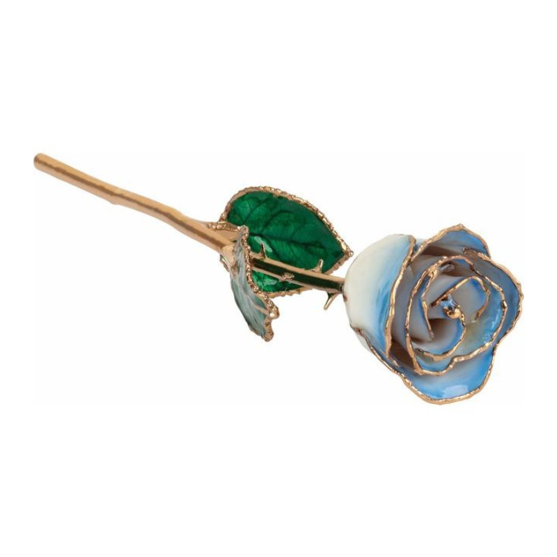Lacquered Cream Blue Rose with Gold Trim