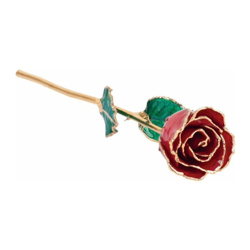Lacquered Ruby Colored Rose with Gold Trim