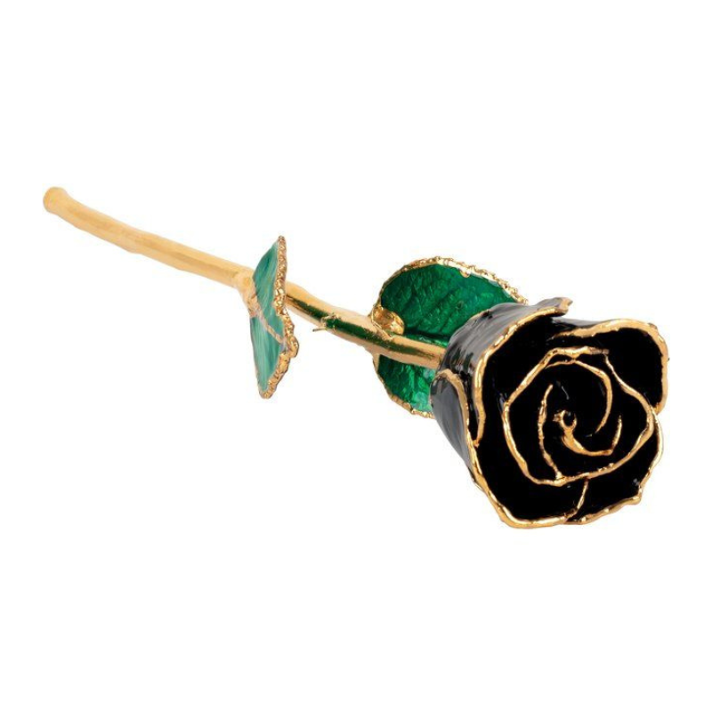 Lacquered Black Rose with Gold Trim