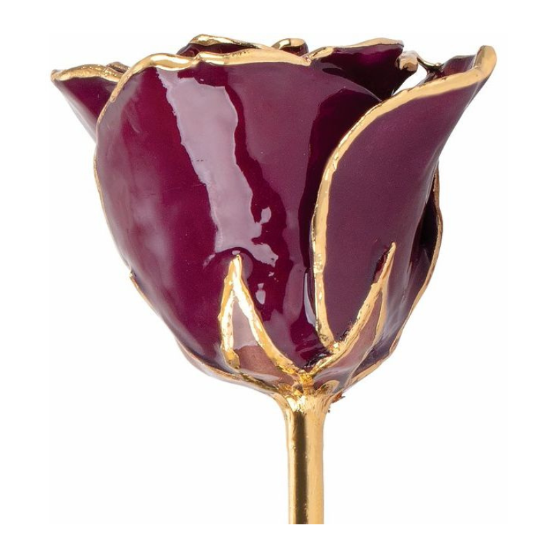 Lacquered Burgundy Rose with Gold Trim