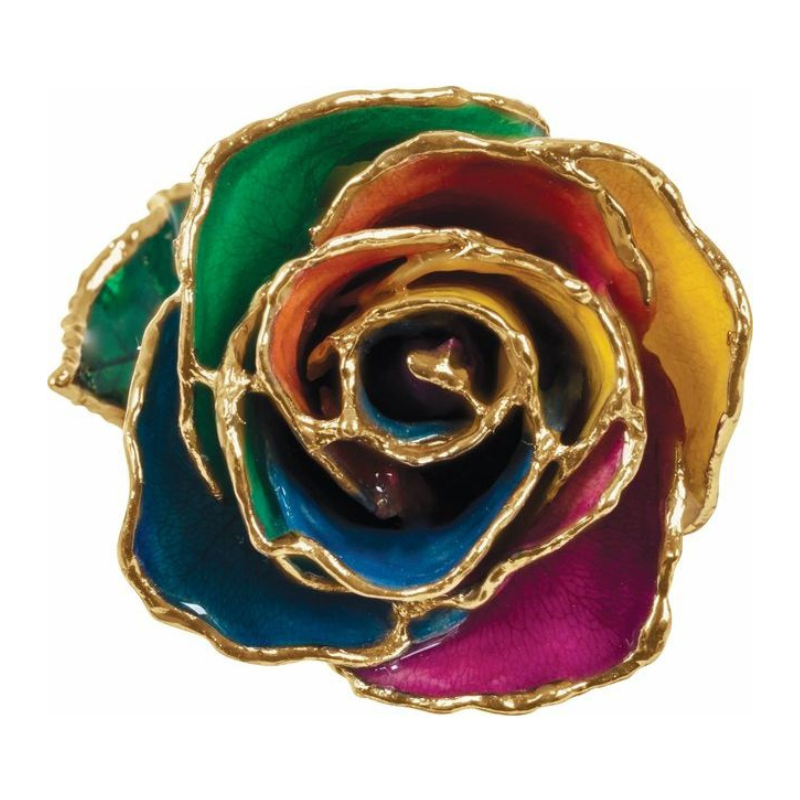 Lacquered Rainbow Rose with Gold Trim