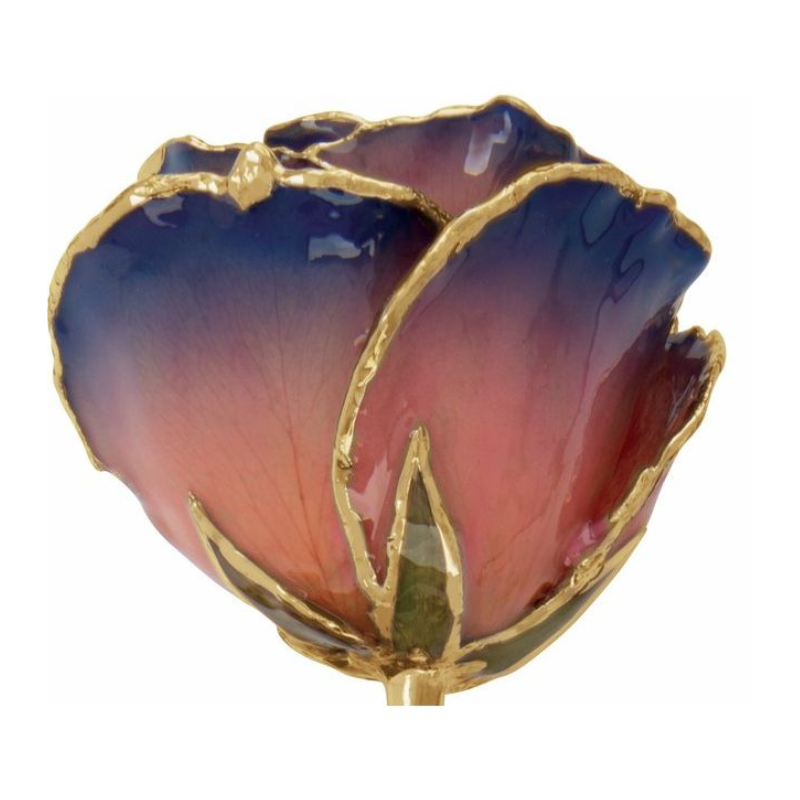 Lacquered Purple & Pink Rose with Gold Trim
