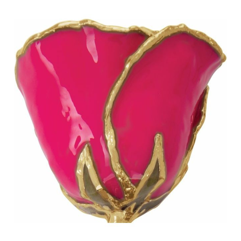 Lacquered Magenta Rose with Gold Trim