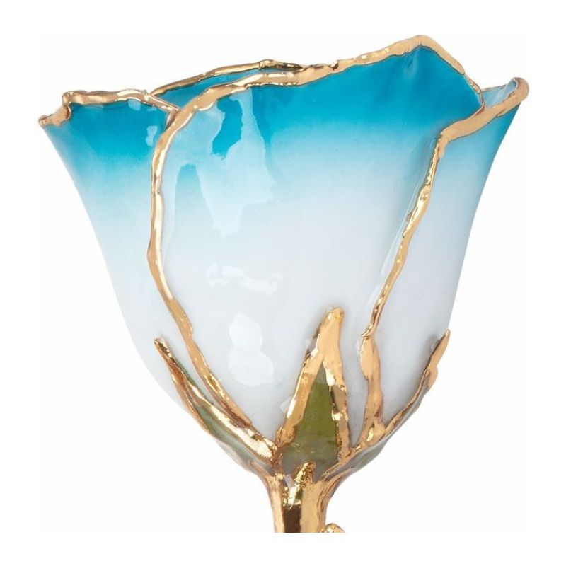 Lacquered Cream Turquoise Rose with Gold Trim