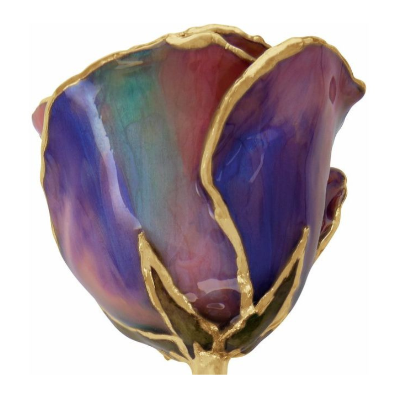 Lacquered October Opal Birthstone Rose with Gold Trim