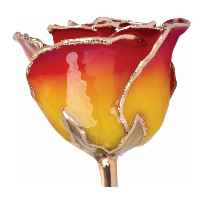 Lacquered Sunset Yellow & Red Rose with Gold Trim