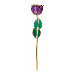 Lacquered Purple Rose with Gold Trim