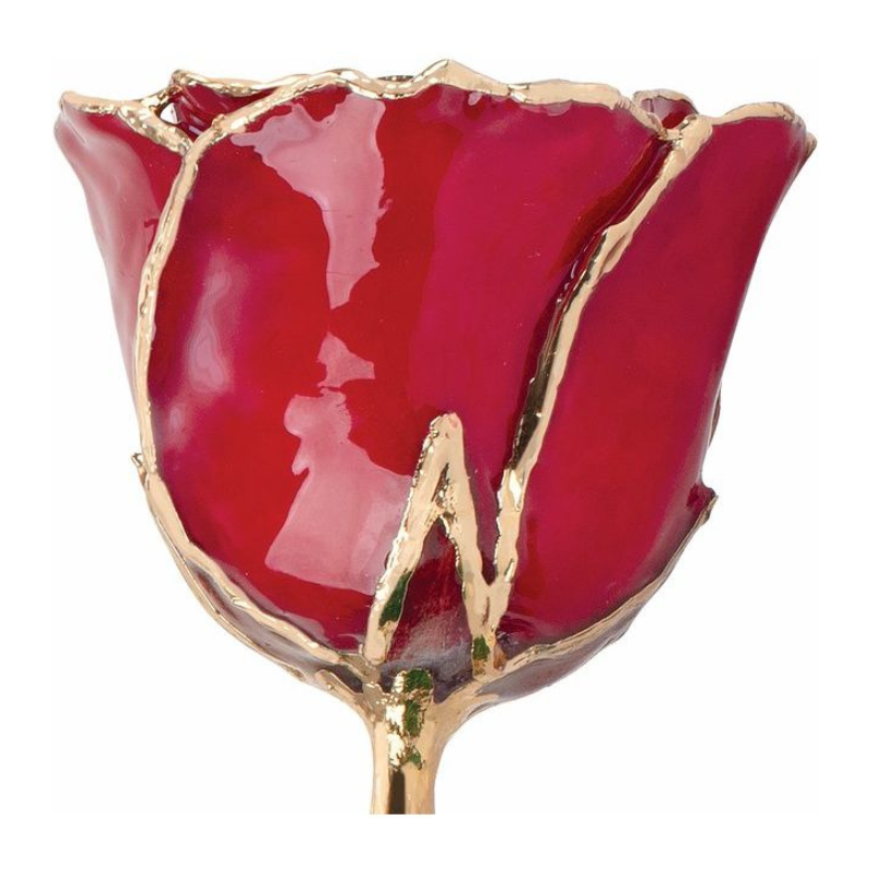 Lacquered Ruby Colored Rose with Gold Trim