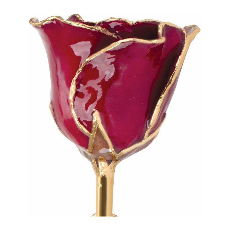 Lacquered Garnet Colored Rose with Gold Trim