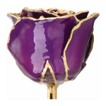 Lacquered Purple Rose with Gold Trim