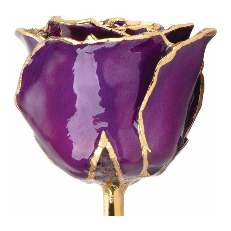 Lacquered Purple Rose with Gold Trim