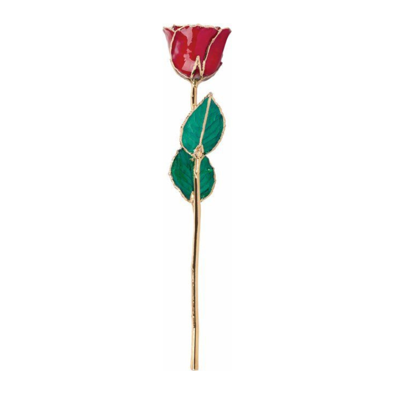 Lacquered Ruby Colored Rose with Gold Trim