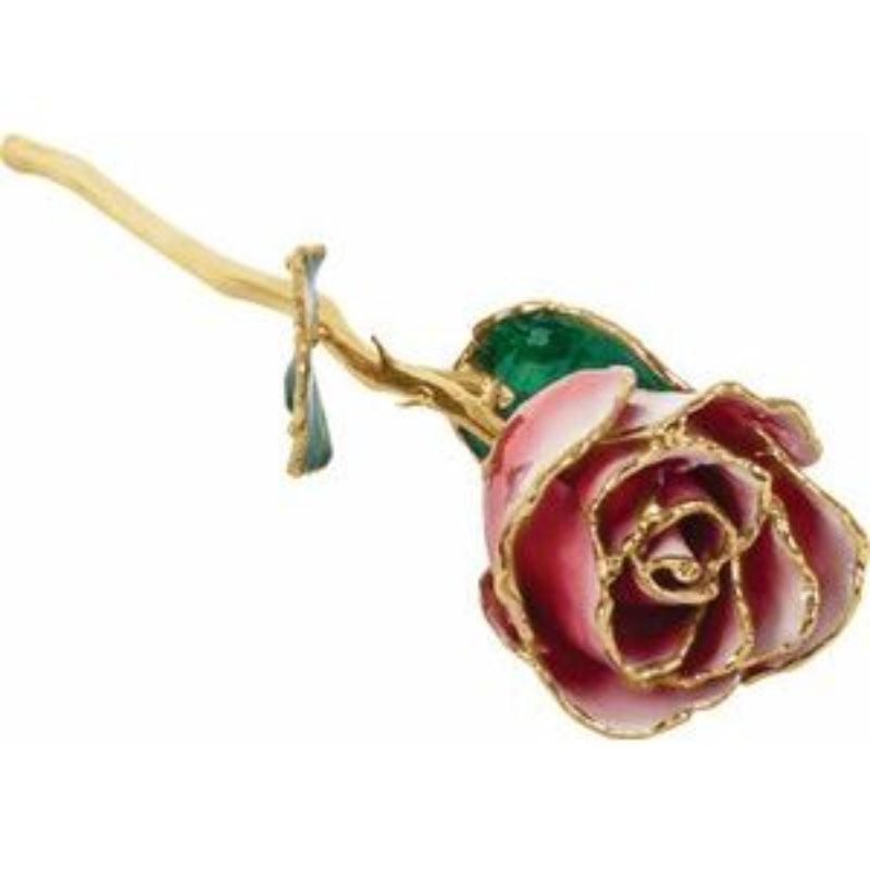 Lacquered Frozen White & Red Rose with Gold Trim