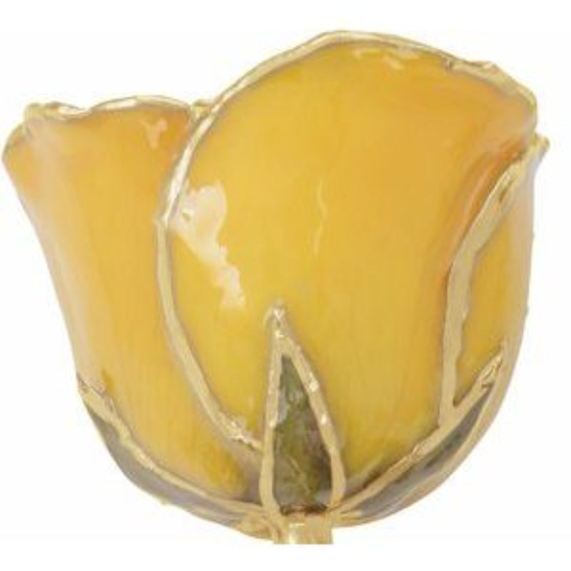 Lacquered Yellow Rose with Gold Trim