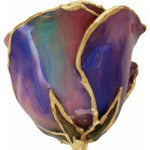 Lacquered October Opal Birthstone Rose with Gold Trim
